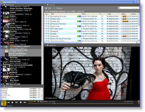 Main user interface featuring danielwks84's massif skin and My Brightest Diamond's Shara Worden.